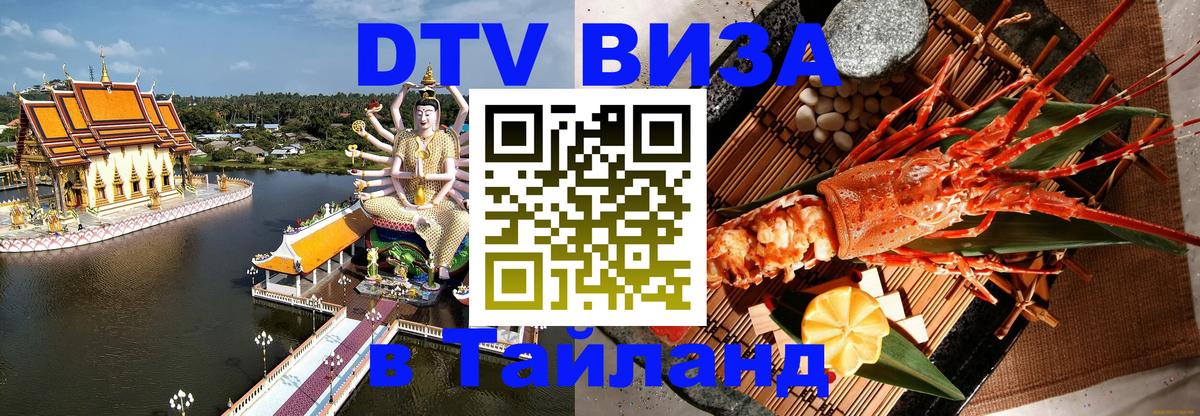 Оформление DTV визы под ключ: стоимость и тарифы, только загранпаспорт - 